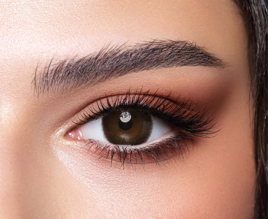 Bella One Day - Cedar - FIVE PAIRS