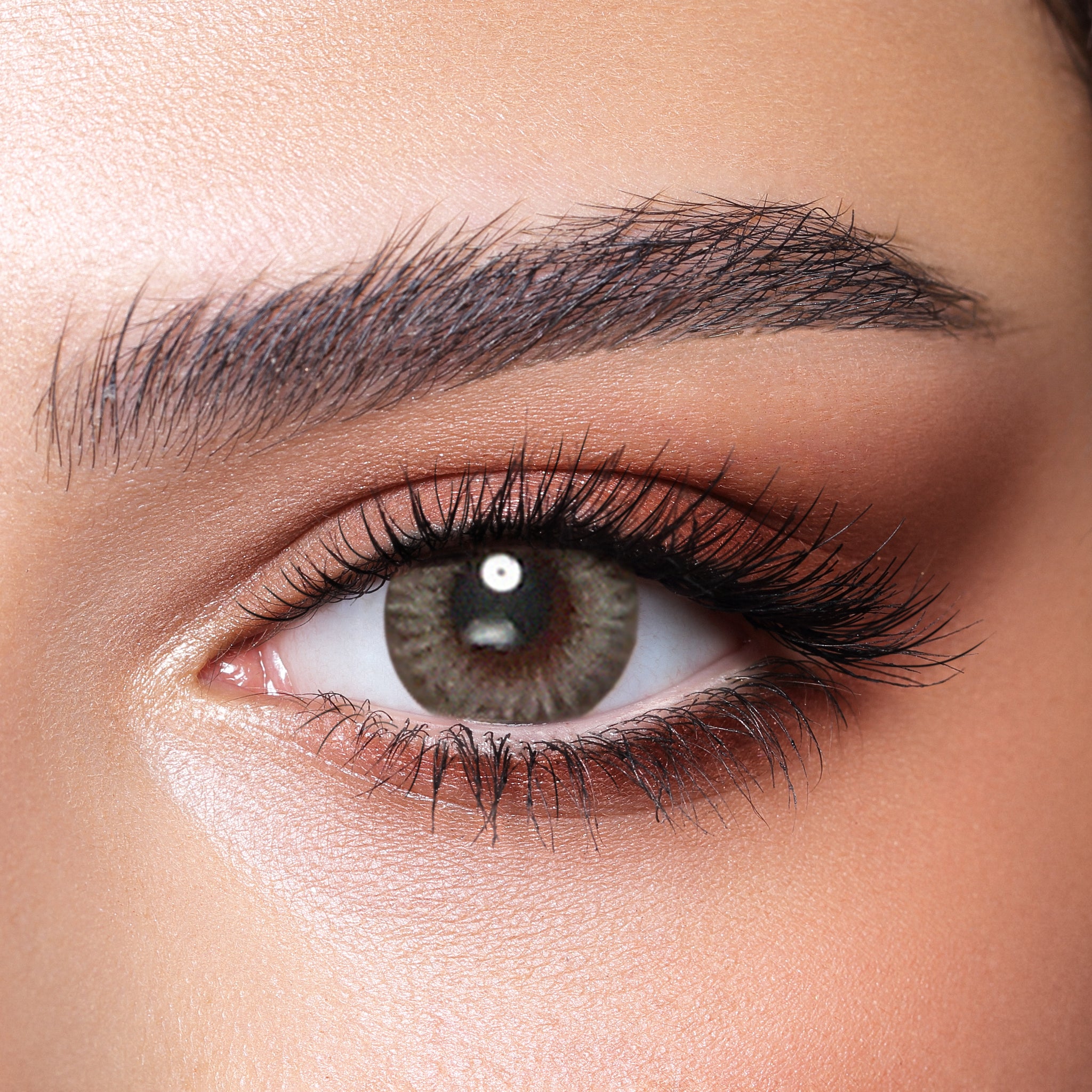 Platinum Grey - FIVE PAIRS - Punjab Optics - Power & Colour Lens - Bella Contact Lenses